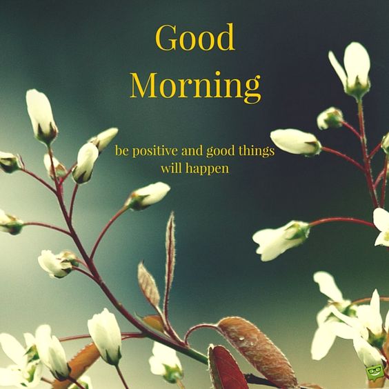 Good Morning Pictures Images Cards Cliparts Greetings